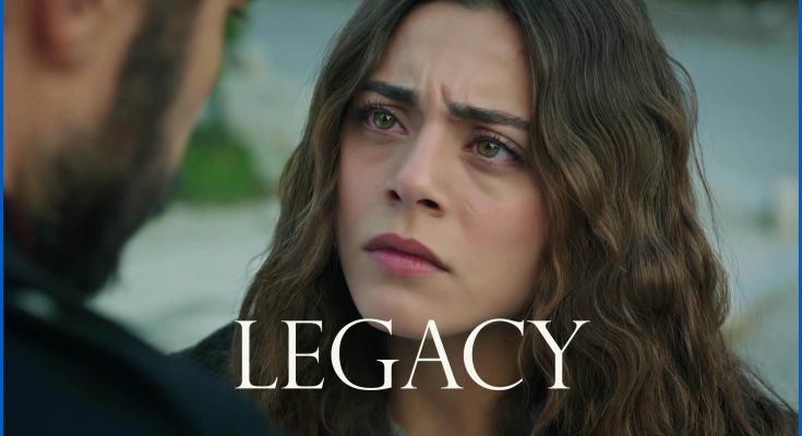 Legacy 271