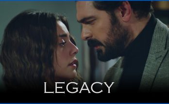 legacy-291